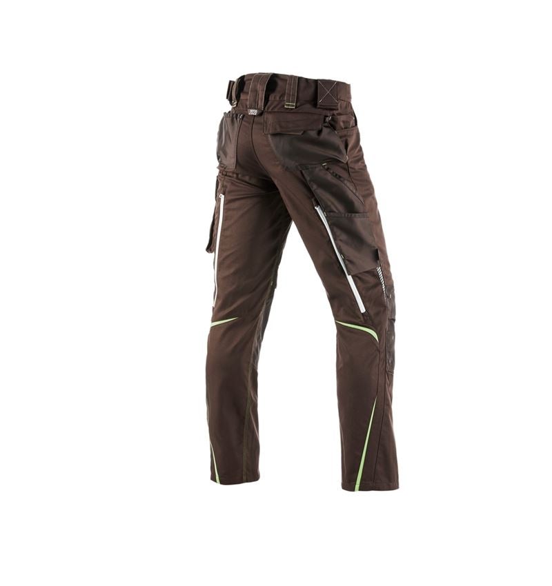 Work Trousers: Winter trousers e.s.motion 2020, men´s + chestnut/seagreen 3