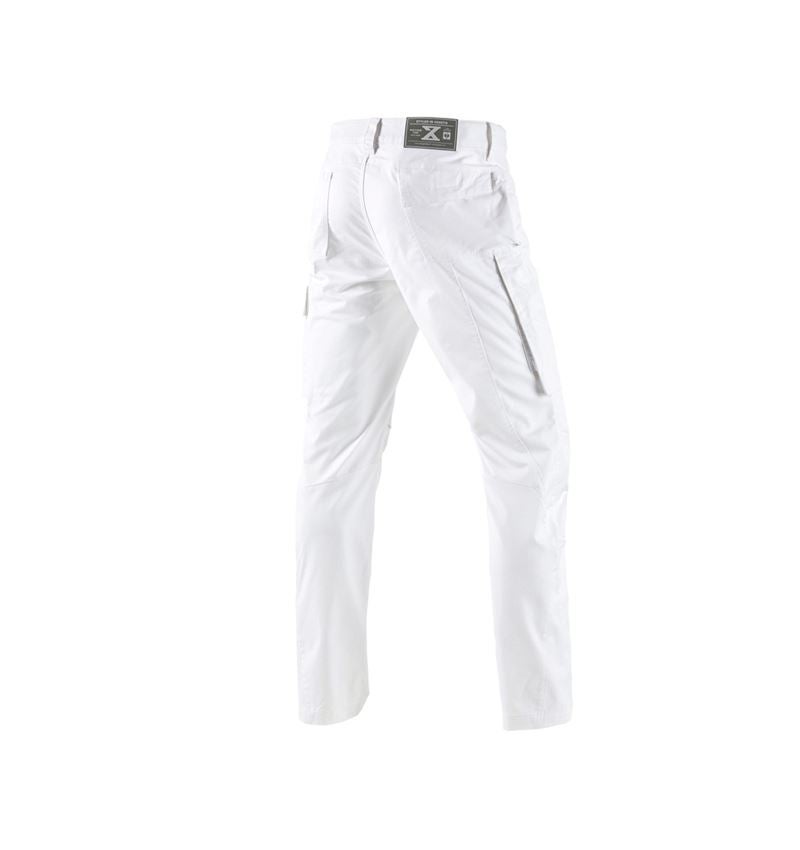 Plumbers / Installers: Trousers e.s.motion ten + white 3