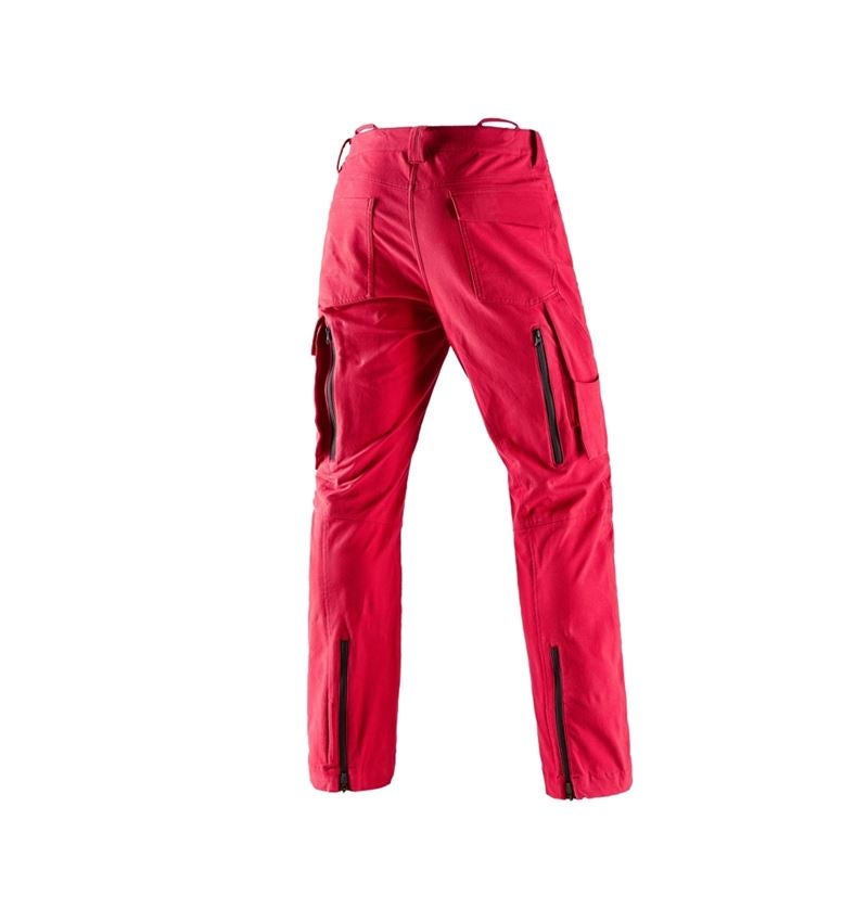 Work Trousers: Forestry cut protection trousers e.s.cotton touch + fiery red 3