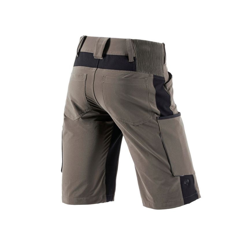 Gartneri / Landbrug / Skovbrug: Shorts e.s.vision stretch, herrer + sten/sort 3