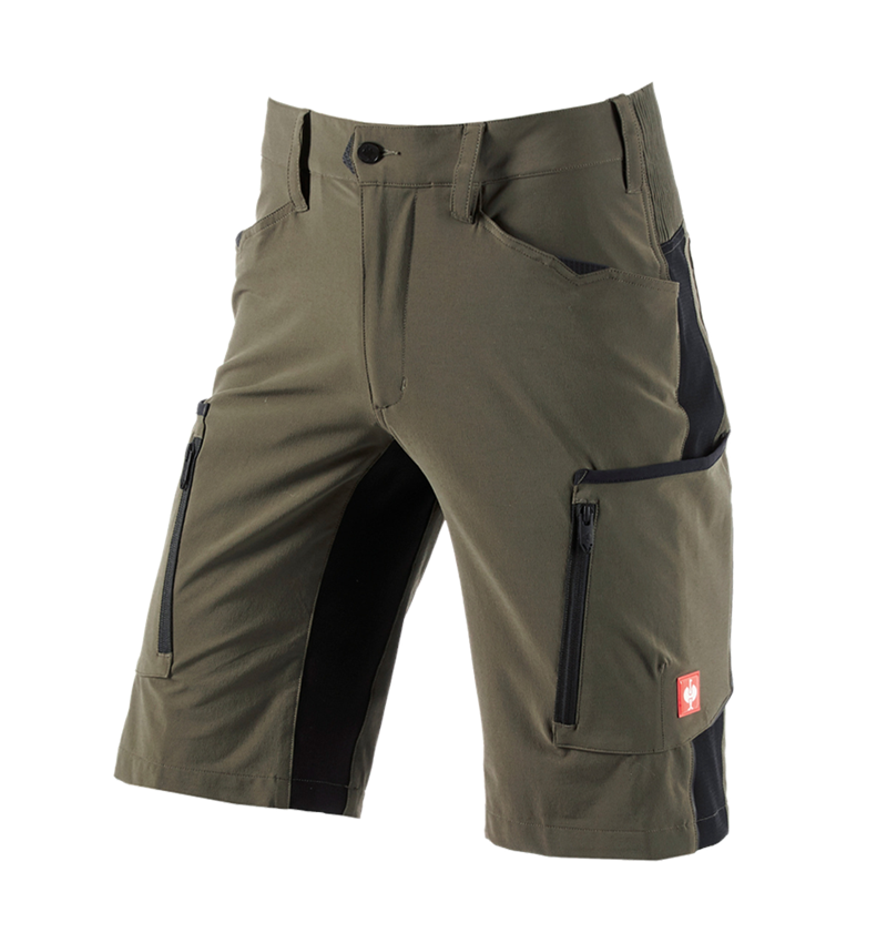 Gartneri / Landbrug / Skovbrug: Shorts e.s.vision stretch, herrer + tang/sort 1