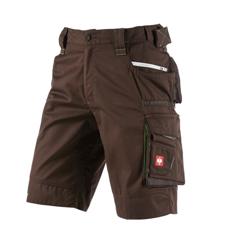 Work Trousers: Shorts e.s.motion 2020 + chestnut/seagreen 2