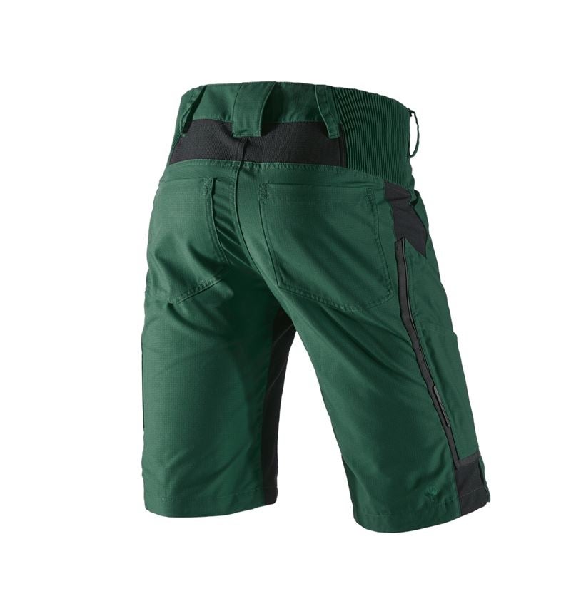 Gartneri / Landbrug / Skovbrug: Shorts e.s.vision, herrer + grøn/sort 3