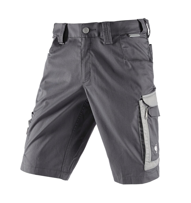 Work Trousers: Shorts e.s.concrete light + anthracite/pearlgrey 3
