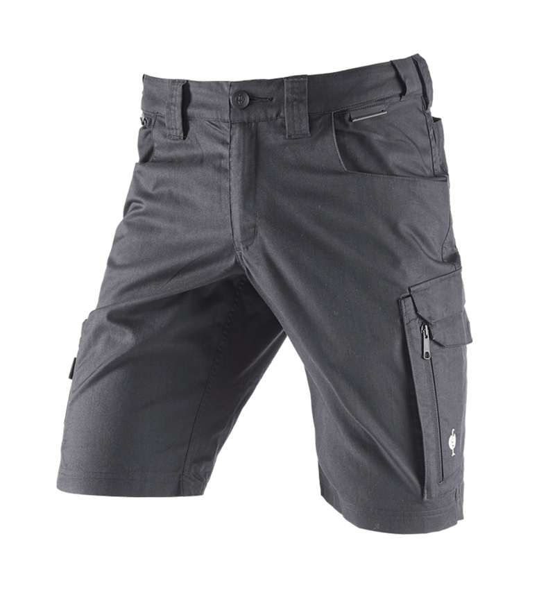 Work Trousers: Shorts e.s.concrete light + anthracite 2