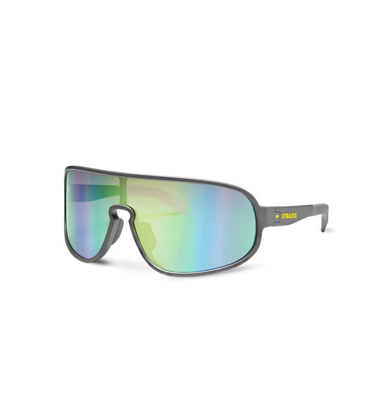 Sikkerhedsbriller: Race solbriller e.s.ambition + antracit