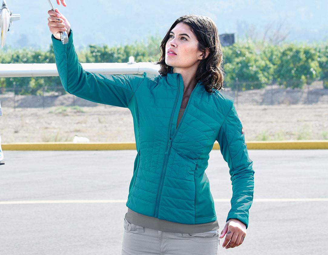 Gardening / Forestry / Farming: e.s. Function quilted jacket thermo stretch,ladies + ocean 1