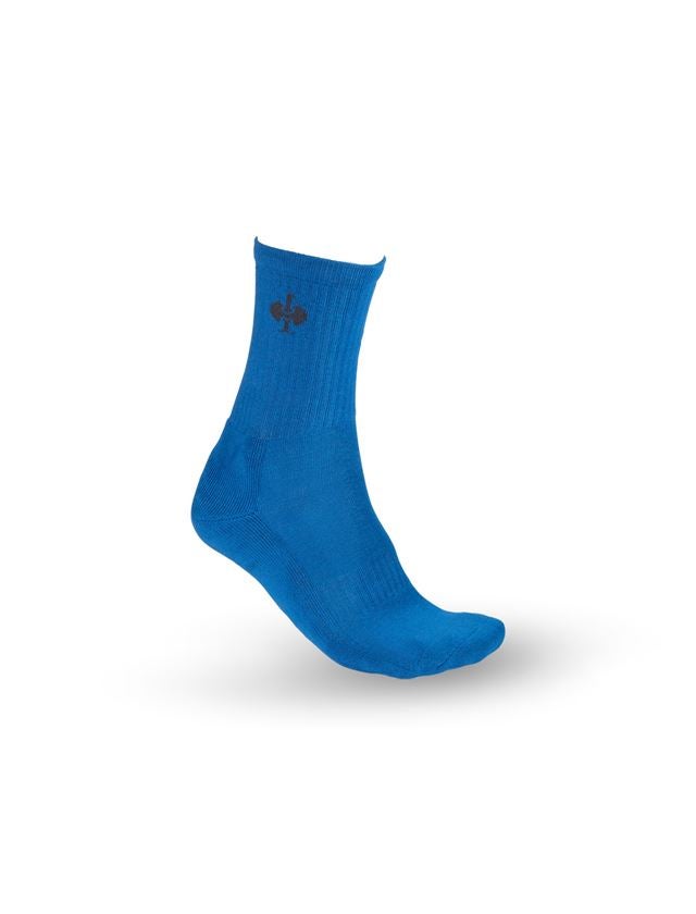 Socks: e.s. Allround socks Classic light/high + gentianblue/graphite