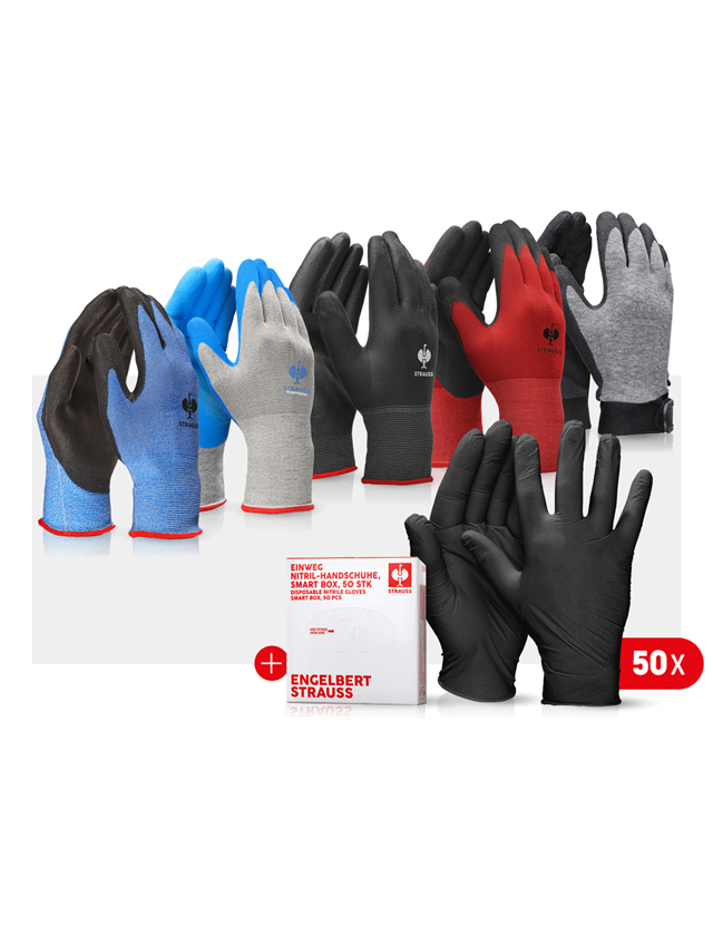 Sets | Accessories: Professional glove set automobile III