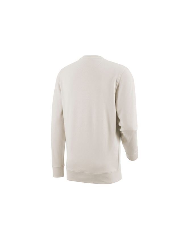 T-Shirts, Pullover & Skjorter: e.s. Sweatshirt poly cotton + gips 3