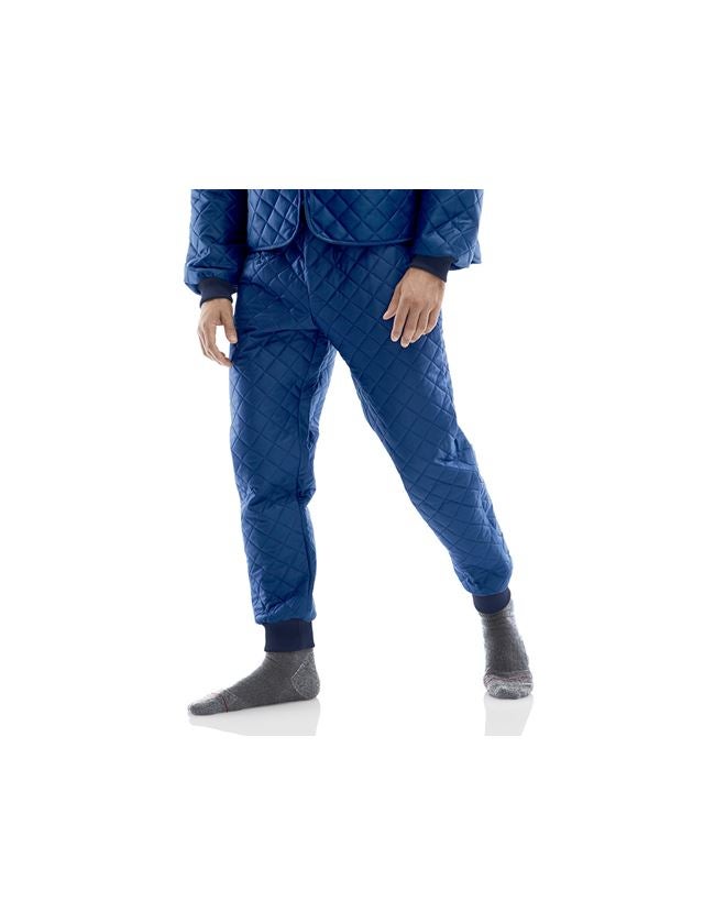 Gardening / Forestry / Farming: Thermal trousers + navy blue