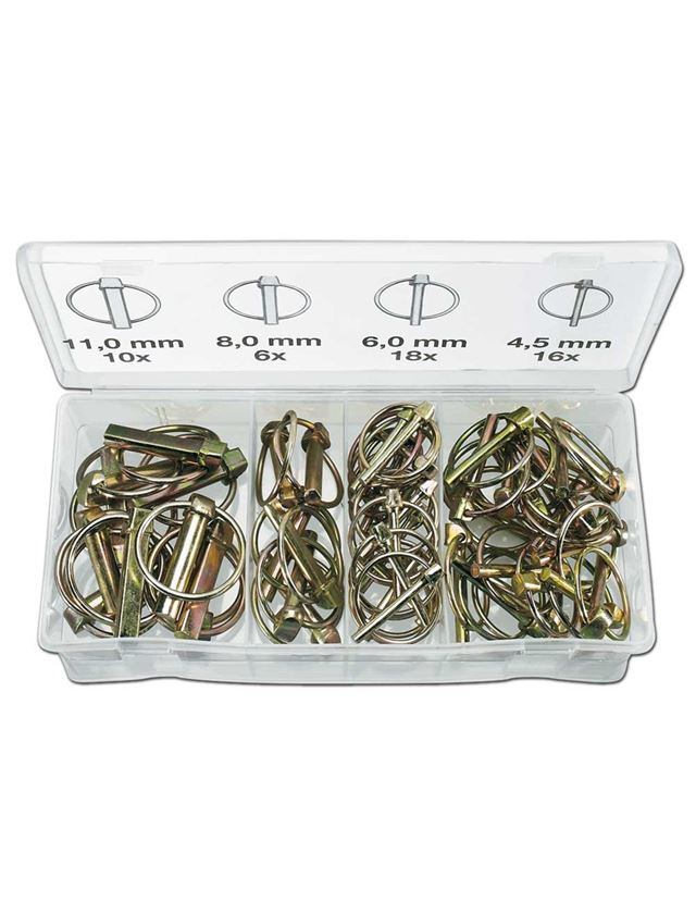 Assorted small parts: Linch pin set
